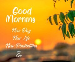 BMV-40 GOOD MORNING সম্পর্কের যথার্থতা,নাকি বজায় রাখার শেষ সুতোর টান?